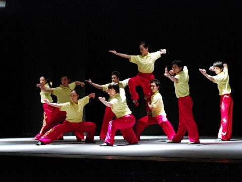 Tour Kungfu Heroes 2010